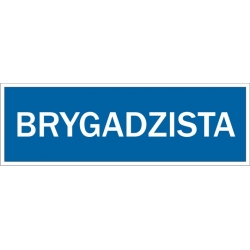 Brygadzista